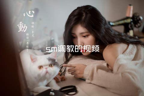 sm调教的视频
